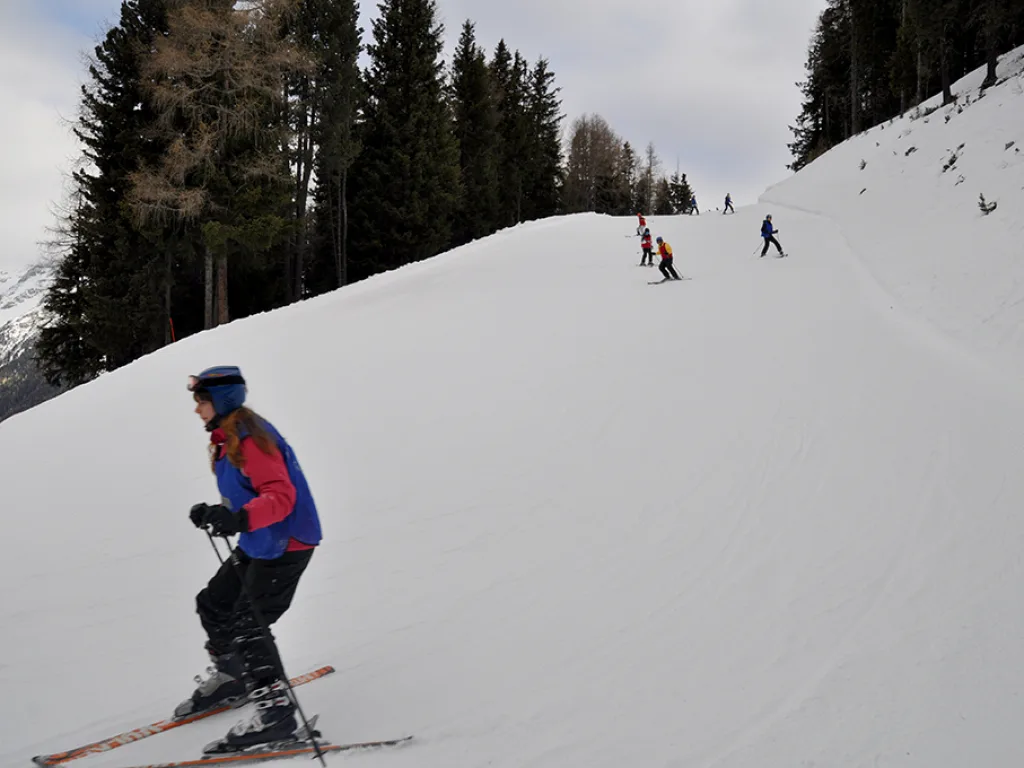 Skifahrer im roten Anorak am Hang, dahinter ein bewaldeter Rücken.